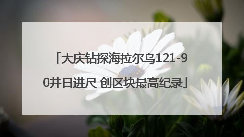大庆钻探海拉尔乌121-90井日进尺 创区块最高纪录